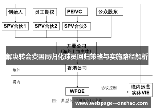 解决转会费困局归化球员回归策略与实施路径解析