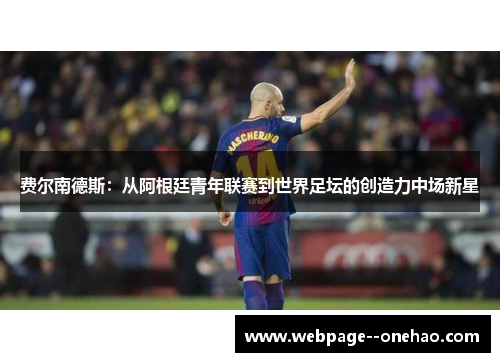 费尔南德斯：从阿根廷青年联赛到世界足坛的创造力中场新星