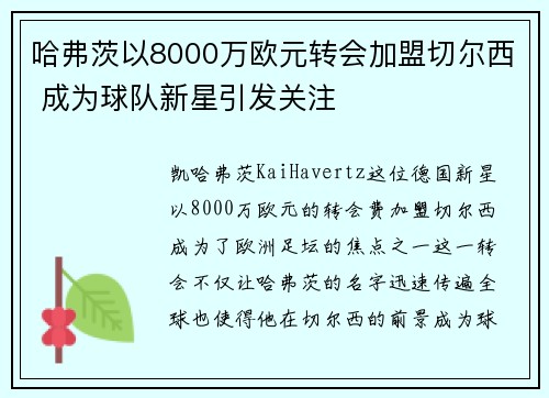 哈弗茨以8000万欧元转会加盟切尔西 成为球队新星引发关注 哈弗茨以8000万欧元转会加盟切尔西 成为球队新星引发关注