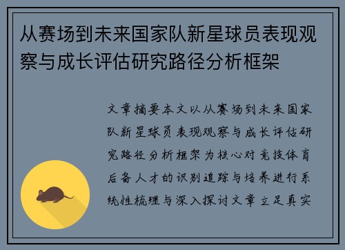 从赛场到未来国家队新星球员表现观察与成长评估研究路径分析框架 从赛场到未来国家队新星球员表现观察与成长评估研究路径分析框架